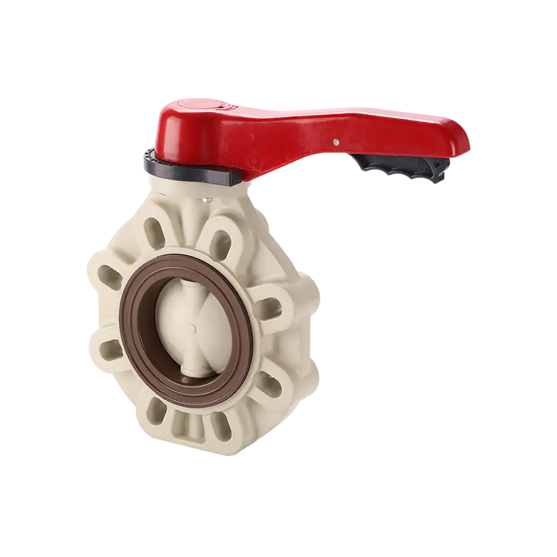 Typ s motýľovým ventilom a pákou